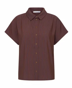 Dames blouse bruin