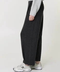 Dames broek grijs
