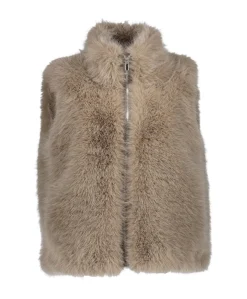 Dames gilet grijs