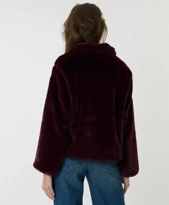 Dames jas bordeaux