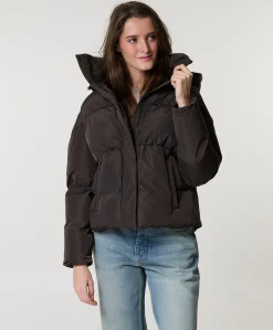 Dames jas bruin