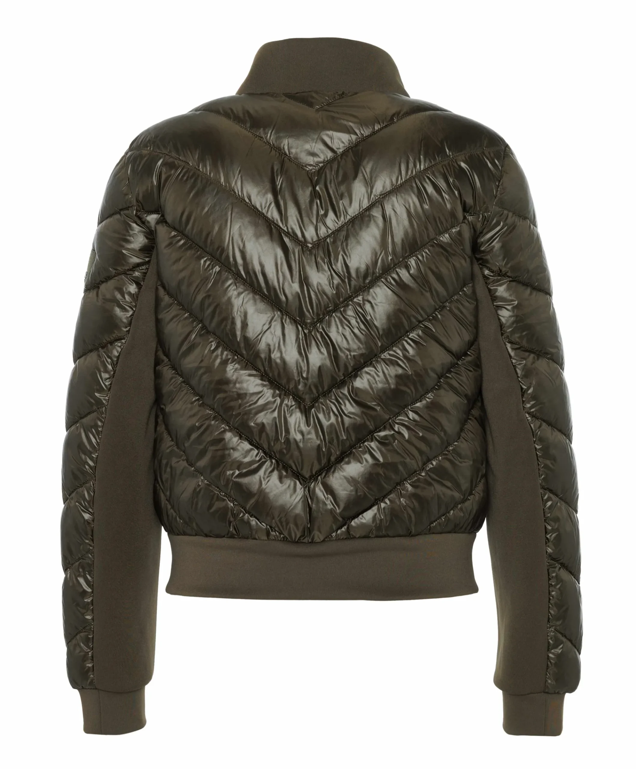 Dames jas groen