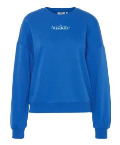 Dames sweater blauw