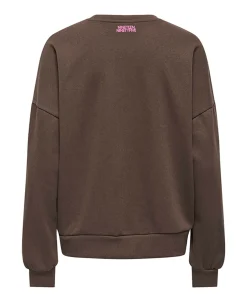 Dames sweater bruin