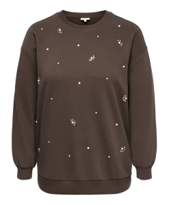 Dames sweater bruin
