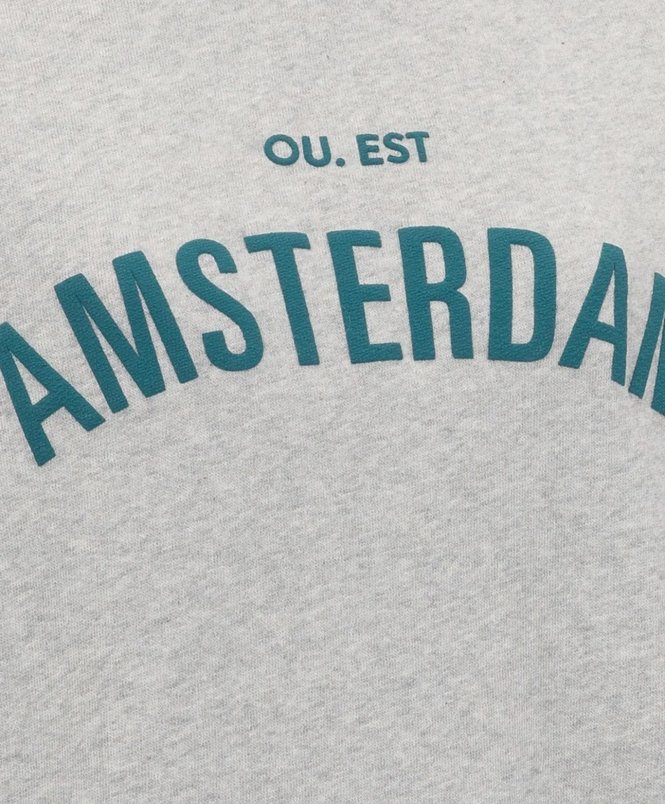 Dames sweater grijs