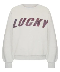 Dames sweater grijs