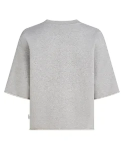 Dames sweater grijs