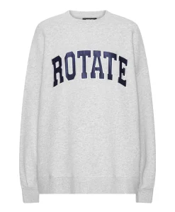 Dames sweater grijs