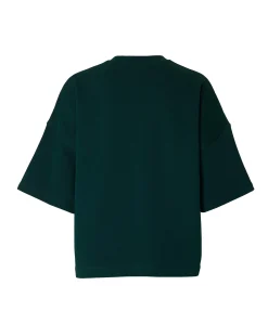 Dames sweater groen