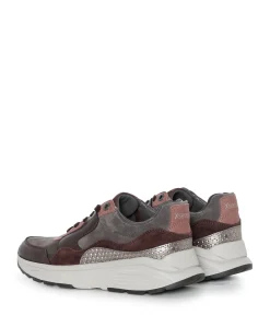 Golden Gate Lady dames sneakers bordeaux