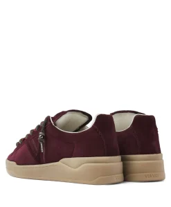 Sam Kyli dames sneakers bordeaux